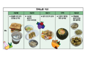 5일간의 지속노출 식사 계획표로, 각 요일별로 샌드위치와 오트밀, 두부구이와 잡곡밥, 닭가슴살과 잡곡밥, 계란밥과 김치, 감자와 잡곡밥 등 다양한 식단이 사진과 함께 나열되어 있다.