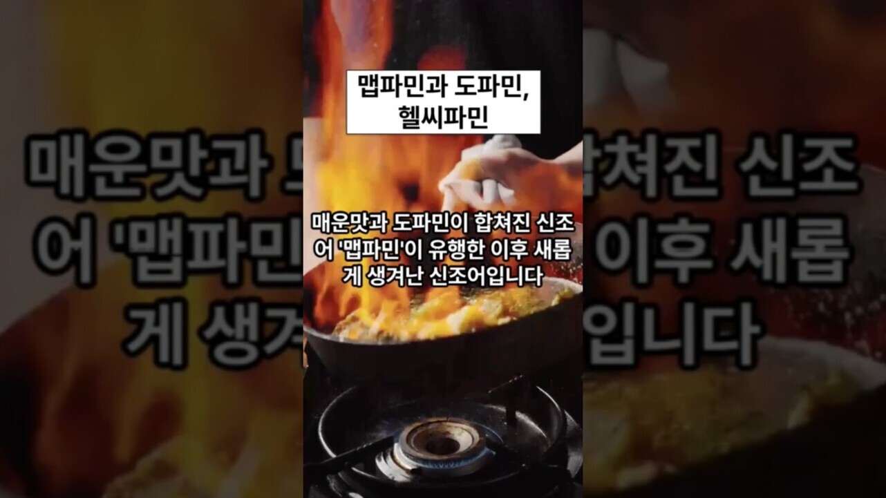 가스레인지 위 프라이팬에서 불길이 크게 일고 있으며, 한 사람이 프라이팬에 재료를 넣고 있다. 화면 중앙에는 '맵파민과 도파민, 헬씨파민'이라는 제목과 함께, 매운맛과 도파민이 합쳐진 신조어 '맵파민'이 유행한 이후 새롭게 생겨난 신조어임을 설명하는 한글 자막이 있다.
