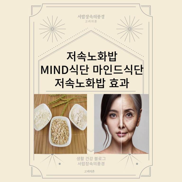 저속노화밥, MIND식단, 마인드식단, 저속노화밥 효과에 대한 안내문. 아래에는 곡물과 쌀이 담긴 그릇, 그리고 한 여성의 얼굴이 젊은 모습과 노화된 모습으로 반반 나뉘어 있는 사진이 있다.