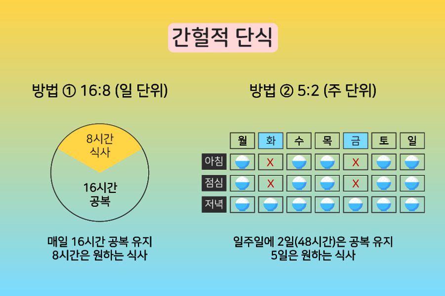 간헐적 단식 방법을 설명하는 이미지. 왼쪽에는 16:8 방법(하루 중 16시간 공복, 8시간 식사)을 원형 도표로, 오른쪽에는 5:2 방법(일주일 중 2일 공복, 5일 식사)을 표로 나타냄. 각 방법의 설명이 함께 적혀 있음.