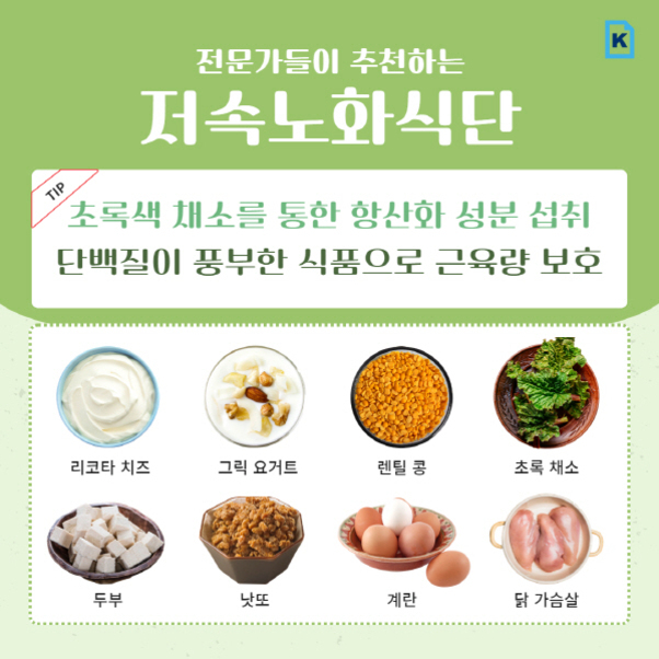 전문가들이 추천하는 저속노화식단에 대한 안내 이미지. 초록색 채소를 통한 항산화 성분 섭취와 단백질이 풍부한 식품으로 근육량 보호를 강조하며, 리코타 치즈, 그릭 요거트, 렌틸 콩, 초록 채소, 두부, 낫또, 계란, 닭 가슴살이 추천 식품으로 나열되어 있다.
