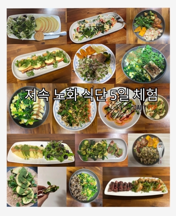 여러 가지 건강식 요리 사진들이 콜라주 형태로 배열되어 있으며, 중앙에 '저속 노화 식단 5일 체험'이라는 문구가 적혀 있다. 각 요리에는 샐러드, 과일, 채소, 고기, 곡물 등이 다양하게 포함되어 있다.