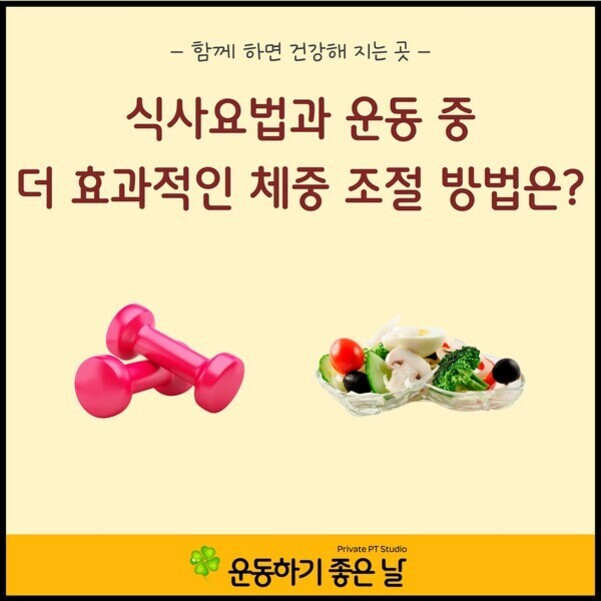 식사요법과 운동 중 더 효과적인 체중 조절 방법에 대해 묻는 문구와 함께, 분홍색 아령과 샐러드 이미지가 있는 건강 및 운동 관련 홍보 이미지