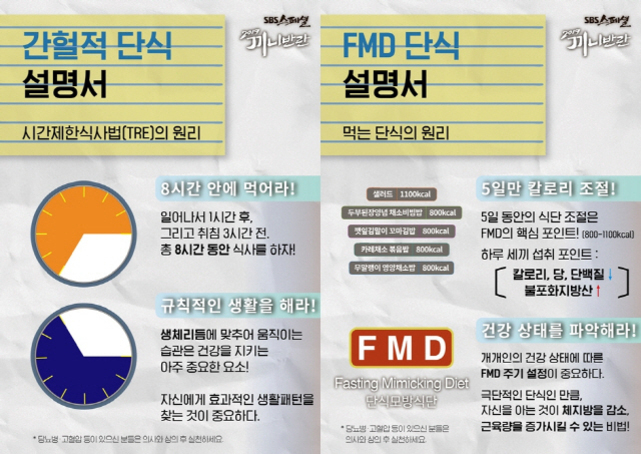 간헐적 단식과 FMD 단식의 설명서가 나란히 비교되어 있는 이미지. 간헐적 단식은 8시간 안에 식사하기, 규칙적인 생활을 강조하며, FMD 단식은 5일간 칼로리 조절, 건강 상태 파악, 특정 영양소 제한을 설명한다. 각 단식법의 원리와 실천 방법이 도식과 함께 요약되어 있다.