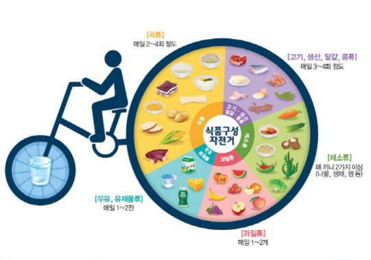 식품구성자전거 그림으로, 자전거 바퀴에 곡류, 고기·생선·달걀·콩류, 채소류, 과일류, 우유·유제품류 등 5가지 식품군이 나누어져 있고, 각 식품군별로 대표 음식 그림과 권장 섭취 횟수가 적혀 있다. 자전거 앞바퀴에는 물이 그려져 있다.