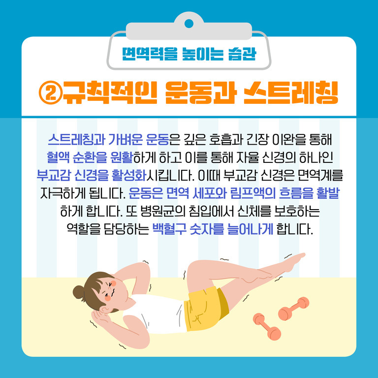 면역력을 높이는 습관에 대한 안내 이미지로, '규칙적인 운동과 스트레칭'의 중요성을 설명하고 있다. 하단에는 운동복을 입고 스트레칭을 하는 여성 일러스트와 덤벨이 그려져 있다.