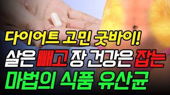 한 손에 알약을 들고 있는 모습과 복부 사진이 있으며, '다이어트 고민 굿바이! 살은 빼고 장 건강은 잡는 마법의 식품 유산균'이라는 문구가 강조되어 있다.