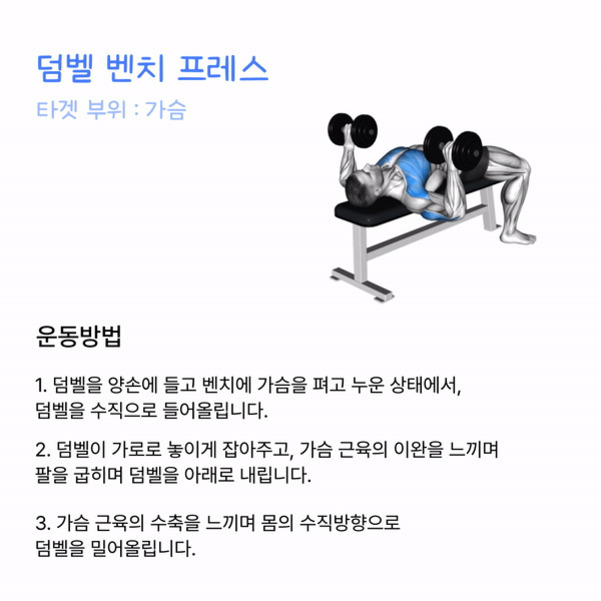 덤벨 벤치 프레스를 하는 남성의 일러스트와 함께, 운동 방법과 타겟 부위(가슴)에 대한 설명이 적혀 있다. 남성은 벤치에 누워 양손에 덤벨을 들고 있다.