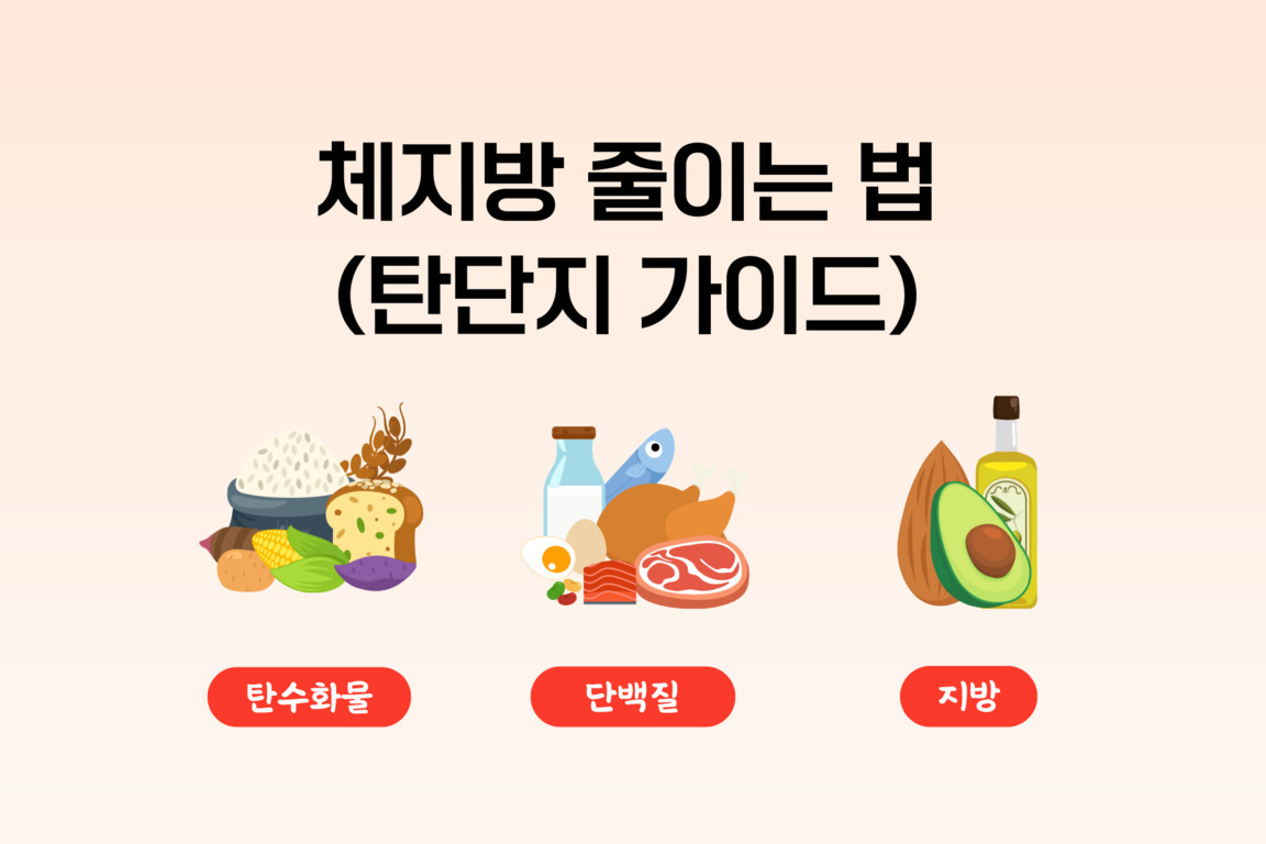 '체지방 줄이는 법 (탄단지 가이드)'라는 제목과 함께, 탄수화물(쌀, 빵, 고구마 등), 단백질(고기, 생선, 달걀, 우유 등), 지방(아보카도, 견과류, 오일 등)을 나타내는 그림이 각각 설명과 함께 나열된 이미지