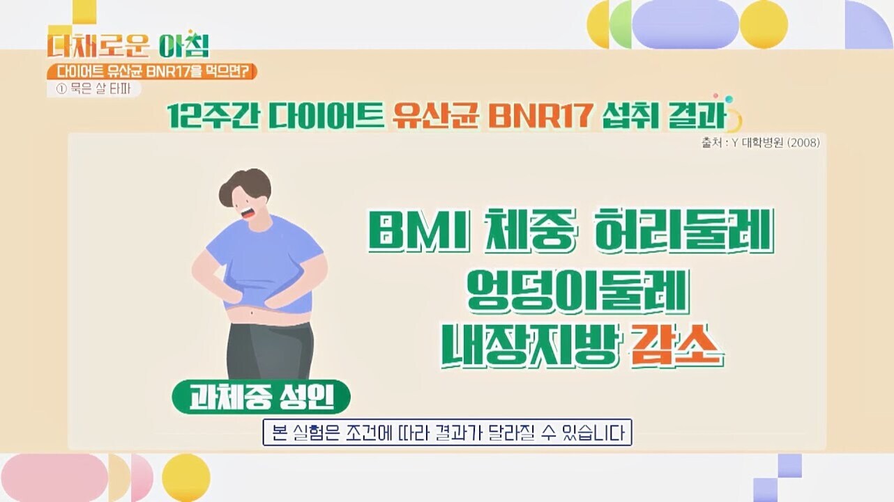 다채로운 아침 프로그램 화면으로, '다이어트 유산균 BNR17을 먹으면?'이라는 제목과 함께 12주간 다이어트 유산균 BNR17 섭취 결과에 대해 설명하고 있다. 과체중 성인 일러스트와 함께 BMI, 체중, 허리둘레, 엉덩이둘레, 내장지방 감소 효과가 강조되어 있다.