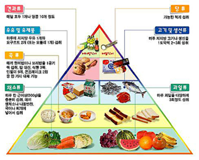 한국어로 설명된 식품 피라미드 이미지로, 각 식품군(곡류, 채소류, 과일류, 고기 및 생선류, 유제품, 당류, 견과류)이 피라미드 형태로 배치되어 있으며, 각 식품군별 권장 섭취량이 안내되어 있다.
